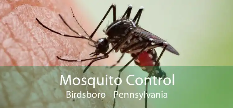 Mosquito Control Birdsboro - Pennsylvania