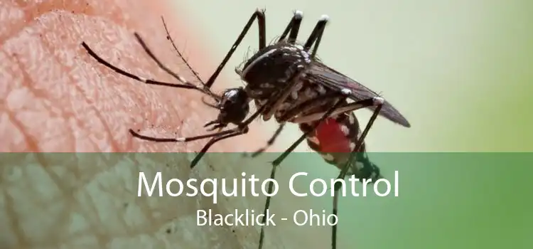 Mosquito Control Blacklick - Ohio