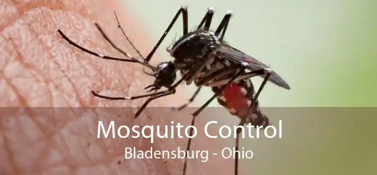 Mosquito Control Bladensburg - Ohio