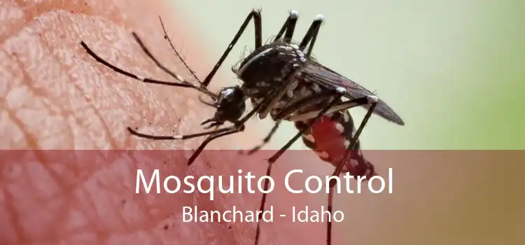 Mosquito Control Blanchard - Idaho
