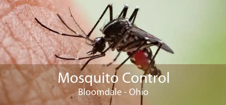 Mosquito Control Bloomdale - Ohio