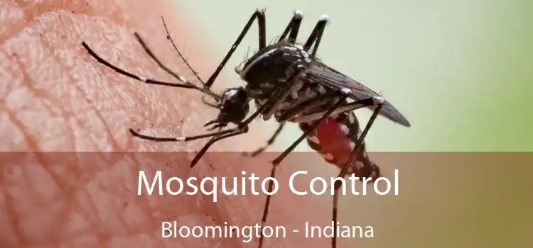 Mosquito Control Bloomington - Indiana