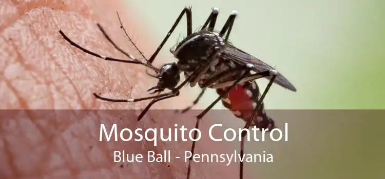 Mosquito Control Blue Ball - Pennsylvania