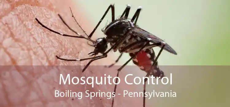 Mosquito Control Boiling Springs - Pennsylvania