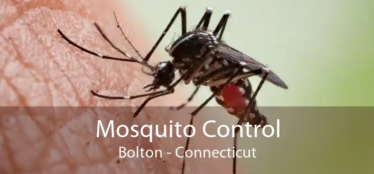 Mosquito Control Bolton - Connecticut
