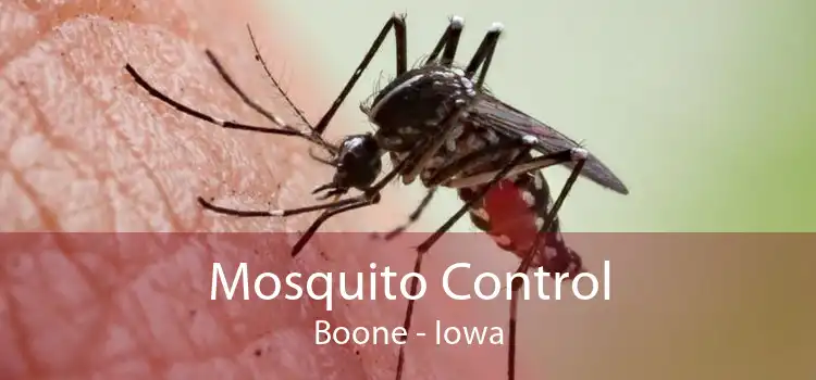 Mosquito Control Boone - Iowa