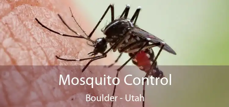 Mosquito Control Boulder - Utah