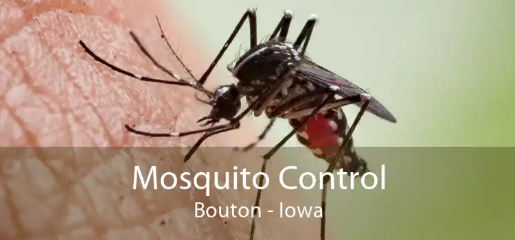 Mosquito Control Bouton - Iowa