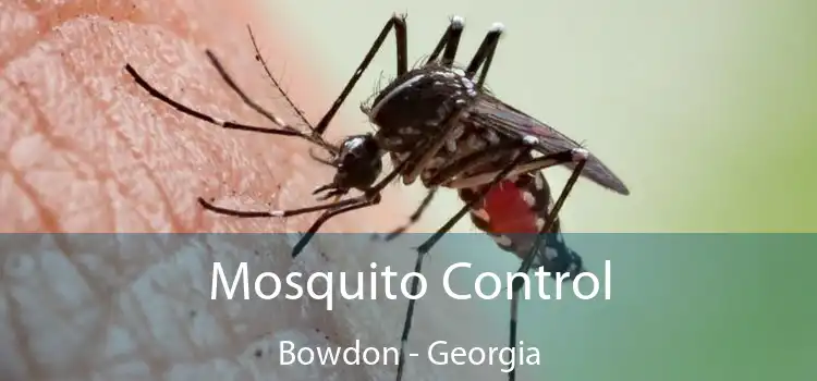 Mosquito Control Bowdon - Georgia