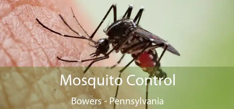 Mosquito Control Bowers - Pennsylvania