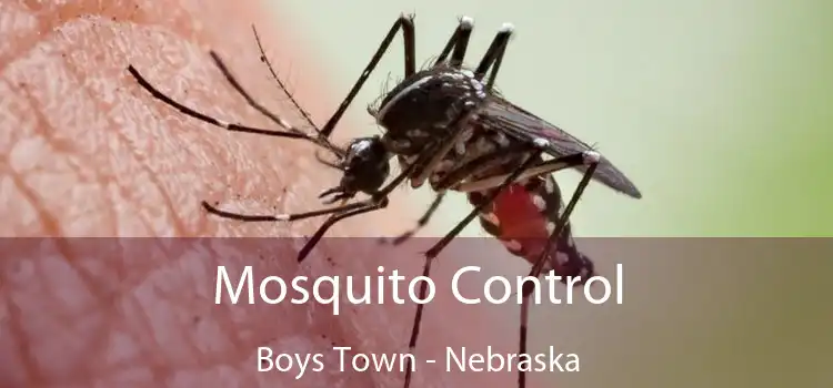 Mosquito Control Boys Town - Nebraska