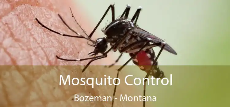 Mosquito Control Bozeman - Montana