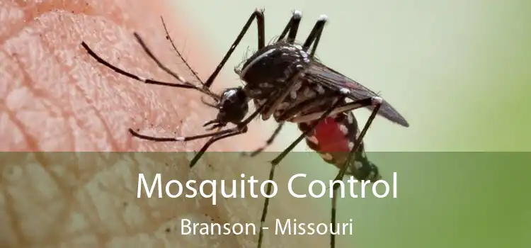 Mosquito Control Branson - Missouri