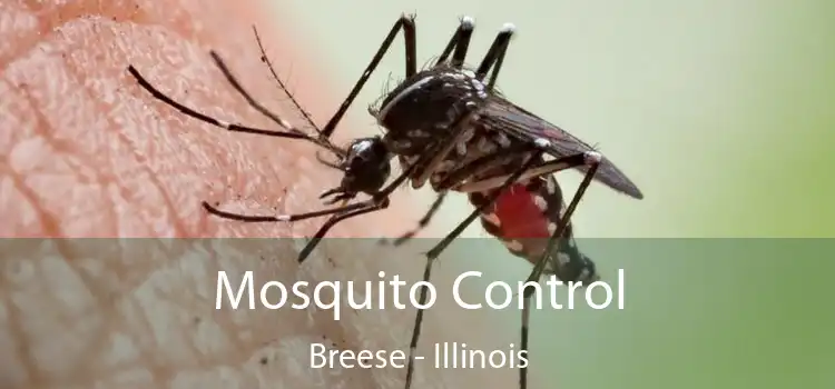 Mosquito Control Breese - Illinois