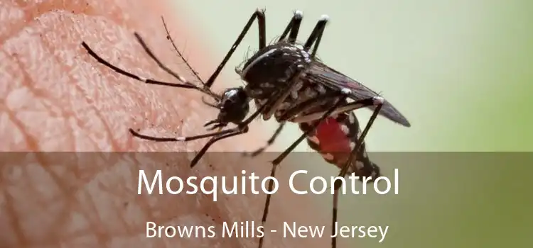 Mosquito Control Browns Mills - New Jersey