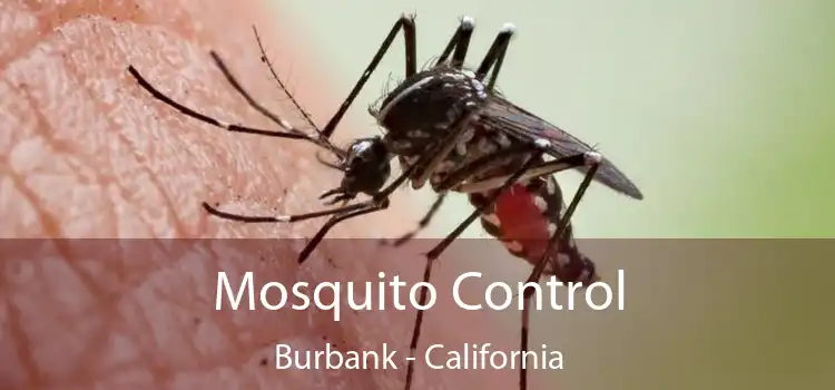 Mosquito Control Burbank - California