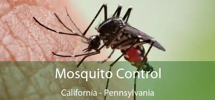 Mosquito Control California - Pennsylvania