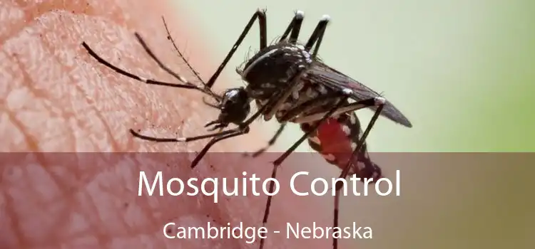 Mosquito Control Cambridge - Nebraska