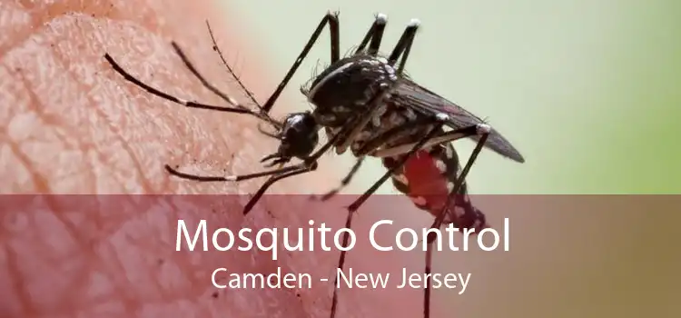 Mosquito Control Camden - New Jersey