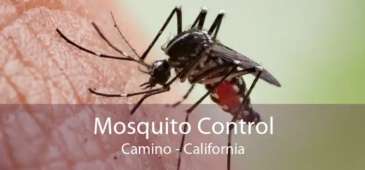Mosquito Control Camino - California
