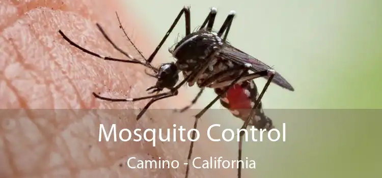 Mosquito Control Camino - California