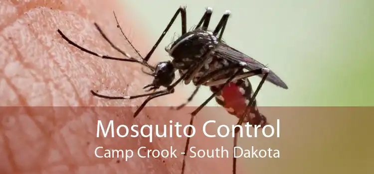 Mosquito Control Camp Crook - South Dakota