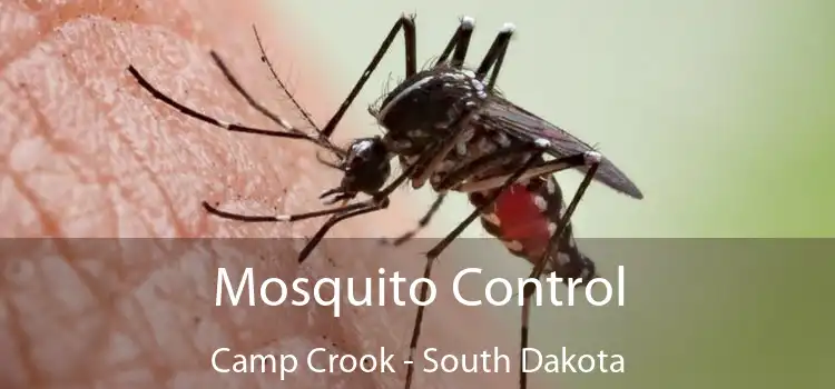 Mosquito Control Camp Crook - South Dakota