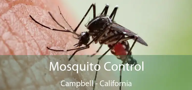 Mosquito Control Campbell - California