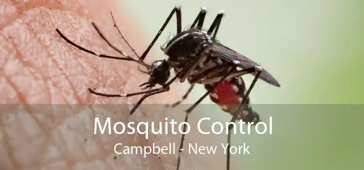 Mosquito Control Campbell - New York
