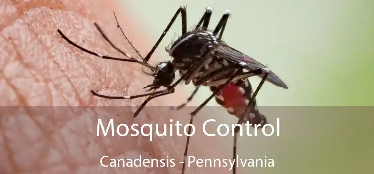 Mosquito Control Canadensis - Pennsylvania