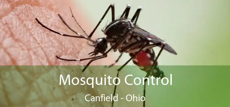 Mosquito Control Canfield - Ohio