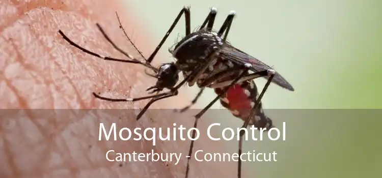 Mosquito Control Canterbury - Connecticut