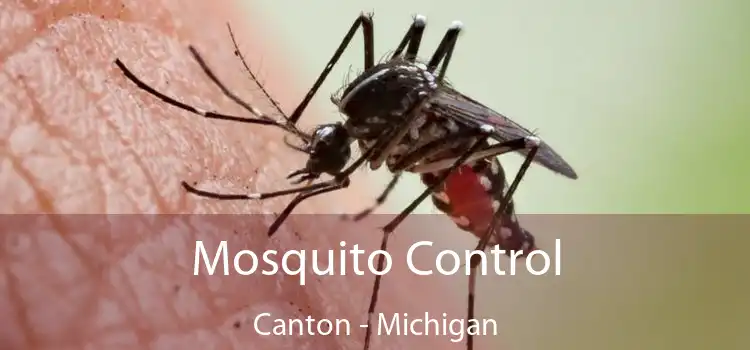 Mosquito Control Canton - Michigan