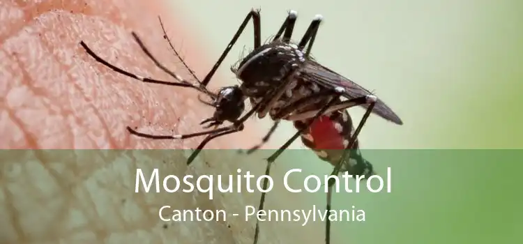 Mosquito Control Canton - Pennsylvania