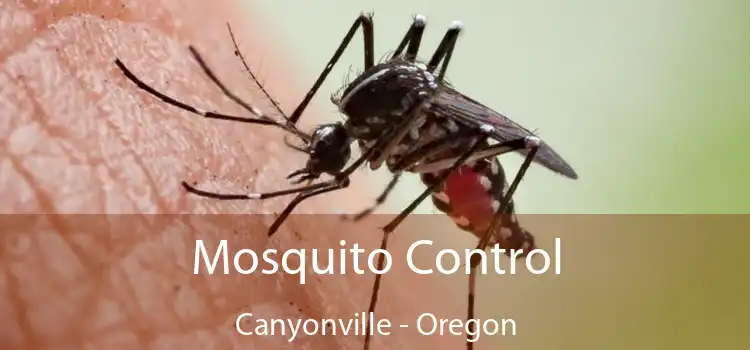 Mosquito Control Canyonville - Oregon