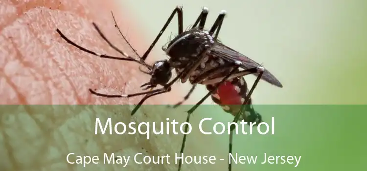 Mosquito Control Cape May Court House - New Jersey