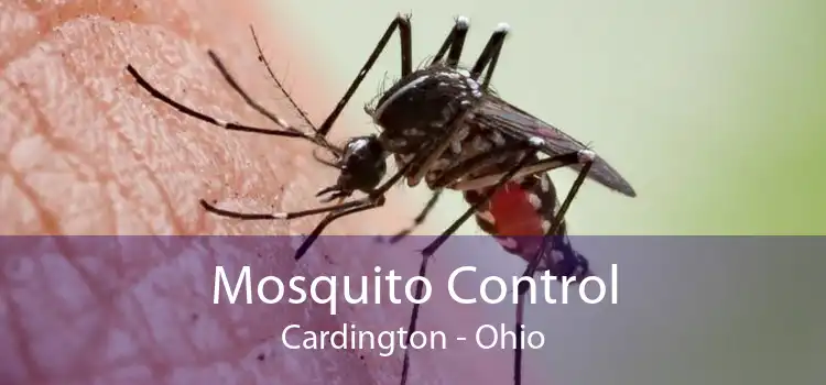 Mosquito Control Cardington - Ohio