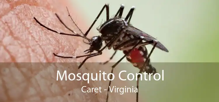 Mosquito Control Caret - Virginia