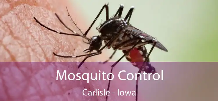 Mosquito Control Carlisle - Iowa