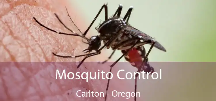 Mosquito Control Carlton - Oregon