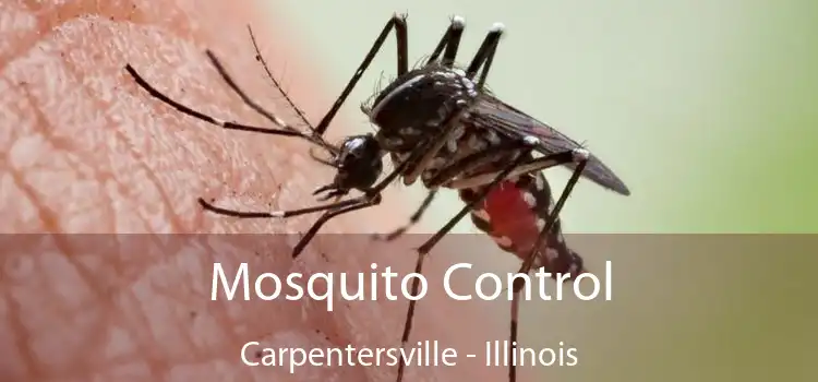 Mosquito Control Carpentersville - Illinois