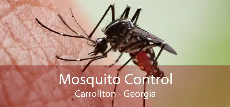Mosquito Control Carrollton - Georgia