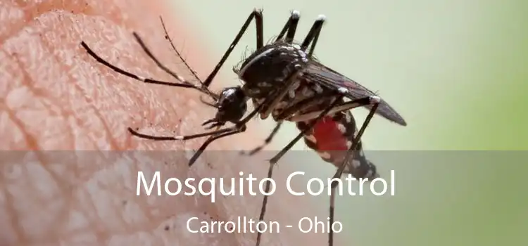 Mosquito Control Carrollton - Ohio