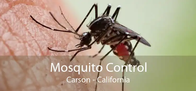 Mosquito Control Carson - California