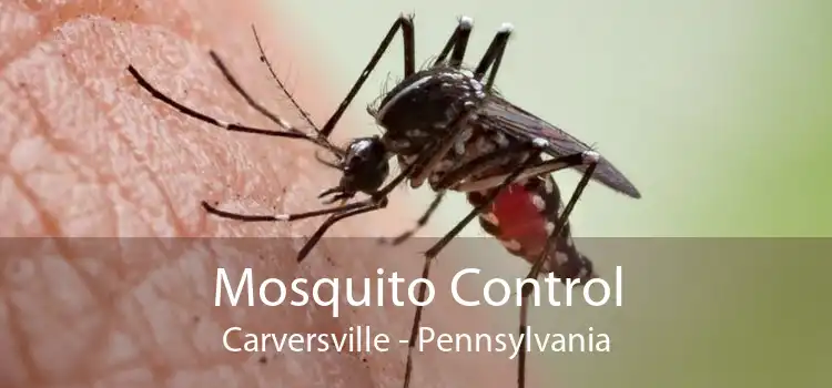 Mosquito Control Carversville - Pennsylvania