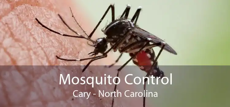 Mosquito Control Cary - North Carolina