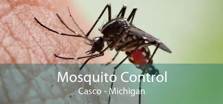 Mosquito Control Casco - Michigan