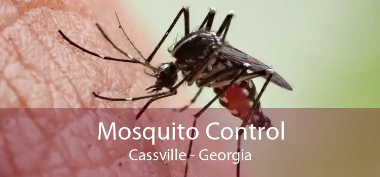 Mosquito Control Cassville - Georgia