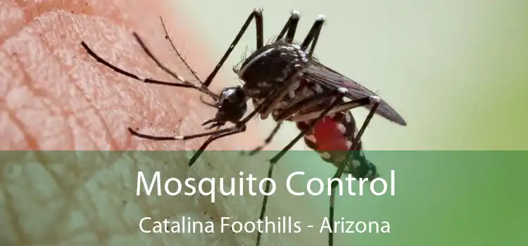 Mosquito Control Catalina Foothills - Arizona