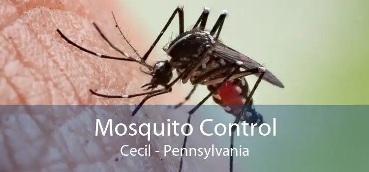 Mosquito Control Cecil - Pennsylvania